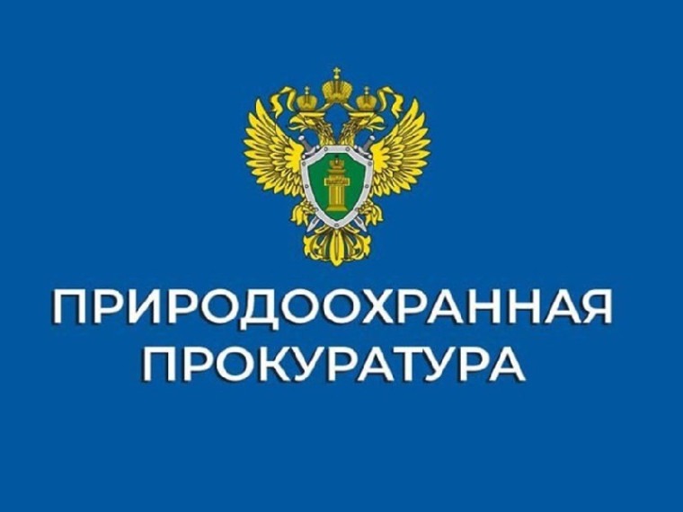 Новгородская природоохранная прокуратура информирует.